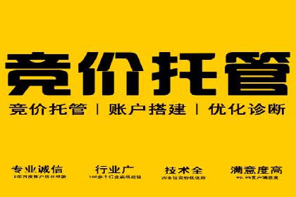 SEM推广实战案例：关键词优化技巧揭秘